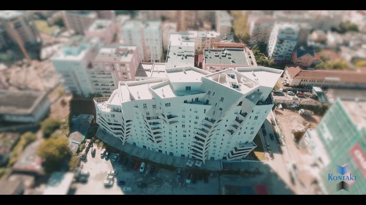 Magnet - Eagle in Flight