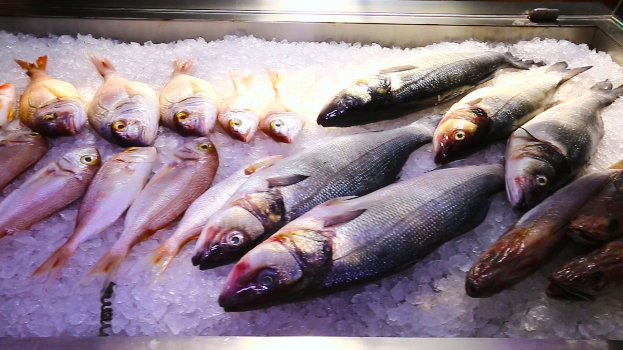 Vila 77 - Era det në mes të Tiranës - www.vila77.al